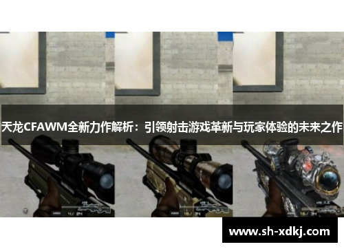 天龙CFAWM全新力作解析：引领射击游戏革新与玩家体验的未来之作